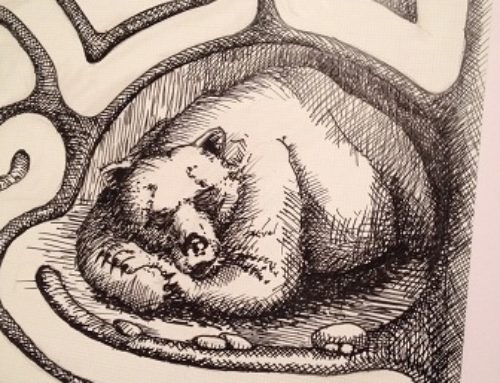 de koestering van winterrust